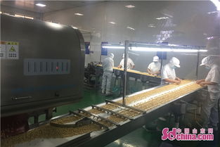 一口炒鍋的傳承 大成食品的花生傳奇