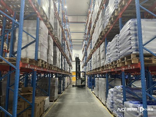 佛山寵物食品企業 年銷售額突破八千萬元，持續實現翻倍增長