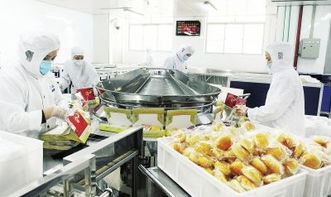 南航長春航空食品廠 食品質量安全為生命線，銷售業績持續攀升