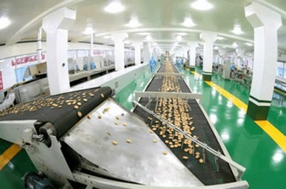 金正恩視察平壤食品工廠，贊國產(chǎn)設(shè)備像美男子，強調(diào)食品銷售重要性