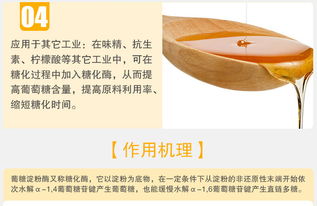 夏盛葡糖淀粉酶 高效糖化酶在食品工業中的專業應用