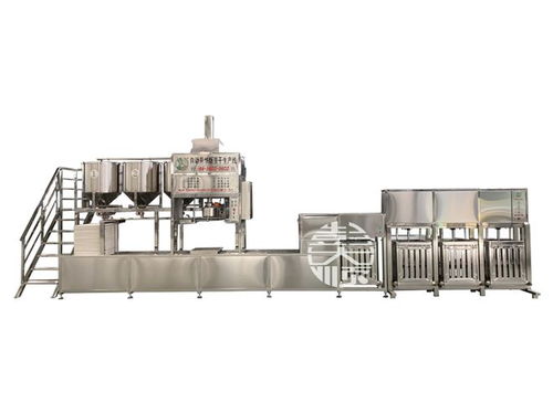 自動(dòng)化轉(zhuǎn)型 豆制品生產(chǎn)線的革新如何優(yōu)化工藝并提振銷售利潤(rùn)